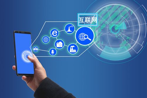 互聯(lián)網(wǎng)的發(fā)展與信息服務(wù)的演變